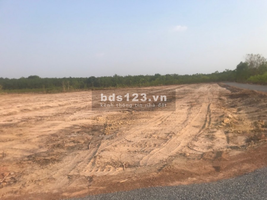 Dự Án Minh Hưng Hàn Quốc 210tr/1000m2 