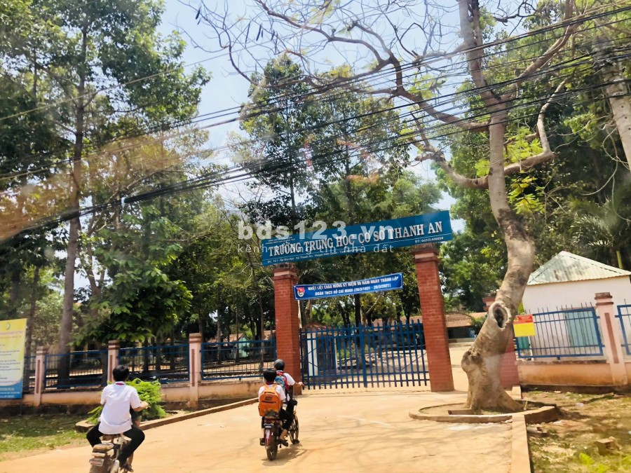 BÁN ĐẤT BÌNH PHƯỚC GIÁ RẺ CHỈ CÓ 2XX /TR 1 SÀO GIÁ CỰC RẺ