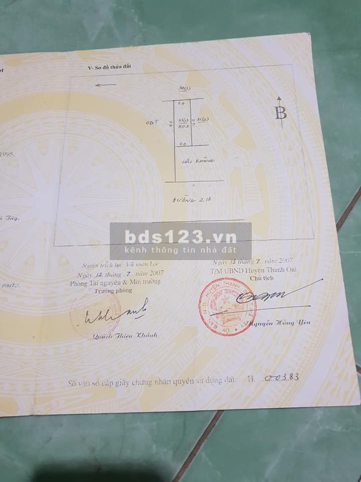 NGƯỜI ĐẸP BƯỚC RA TỪ MẶT PHỐ KIM BÀI, MẶT ĐƯỜNG 21B HUYẾT MẠCH