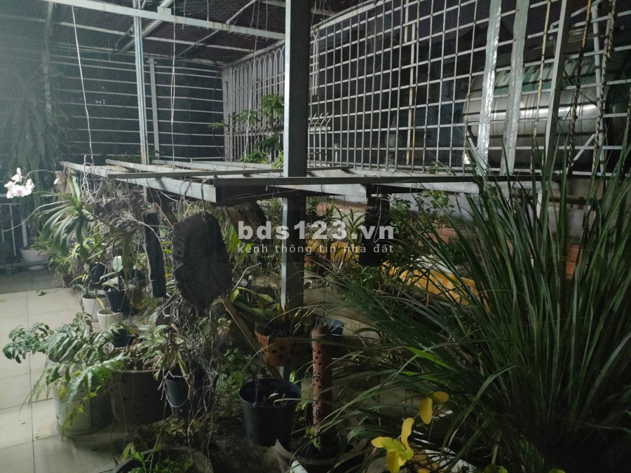 Siêu phẩm P 5 Q.10 Vĩnh viễn HXH Nở hậu tài lộc Khu VIP 40 m ra MT 5 tầng BTCT giá hời 8.150 tỷ