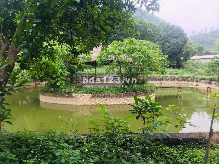 BÁN ĐẤT LƯƠNG SƠN HÒA BÌNH - SIÊU PHẨM NHÀ VƯỜN 5800M LƯNG TỰA NÚI CHÂN ĐẠP THỦY- ĐẸP NHƯ HOA HẬU