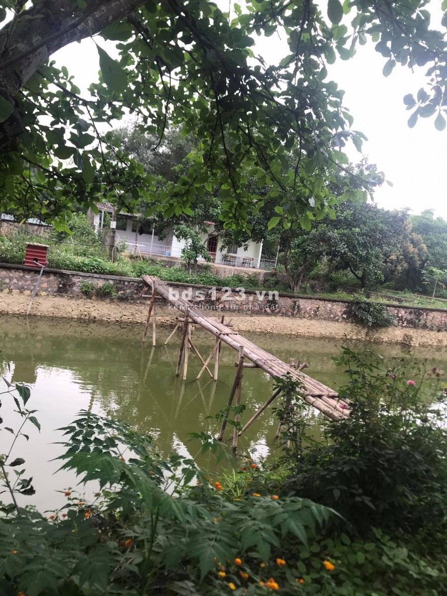 BÁN ĐẤT LƯƠNG SƠN HÒA BÌNH - SIÊU PHẨM NHÀ VƯỜN 5800M LƯNG TỰA NÚI CHÂN ĐẠP THỦY- ĐẸP NHƯ HOA HẬU