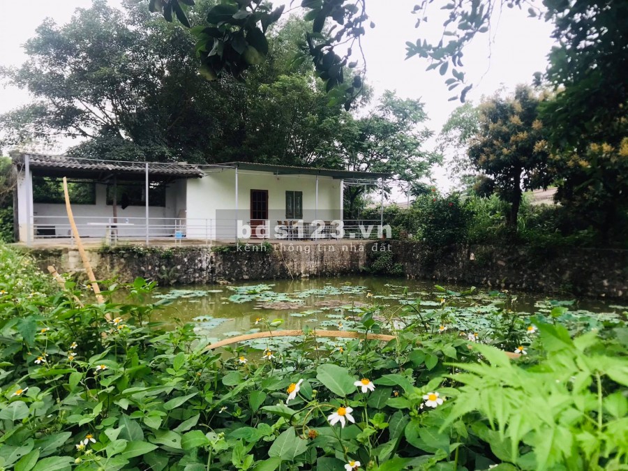 BÁN ĐẤT LƯƠNG SƠN HÒA BÌNH - SIÊU PHẨM NHÀ VƯỜN 5800M LƯNG TỰA NÚI CHÂN ĐẠP THỦY- ĐẸP NHƯ HOA HẬU