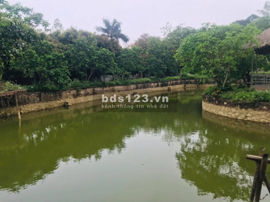 BÁN ĐẤT LƯƠNG SƠN HÒA BÌNH - SIÊU PHẨM NHÀ VƯỜN 5800M LƯNG TỰA NÚI CHÂN ĐẠP THỦY- ĐẸP NHƯ HOA HẬU