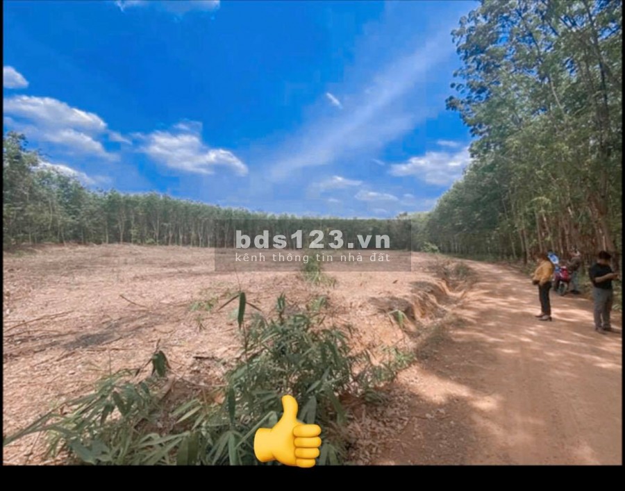 Em kẹt tiền cần bán gấp lô đất Hớn Quản Bình Phước giá rẻ như cho