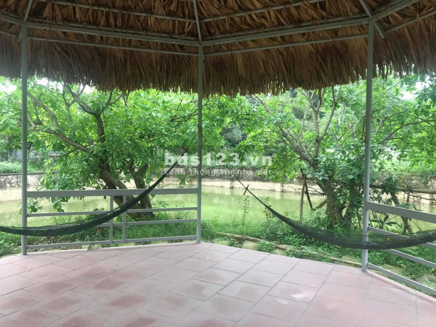 BÁN ĐẤT LƯƠNG SƠN HÒA BÌNH - SIÊU PHẨM NHÀ VƯỜN 5800M LƯNG TỰA NÚI CHÂN ĐẠP THỦY- ĐẸP NHƯ HOA HẬU