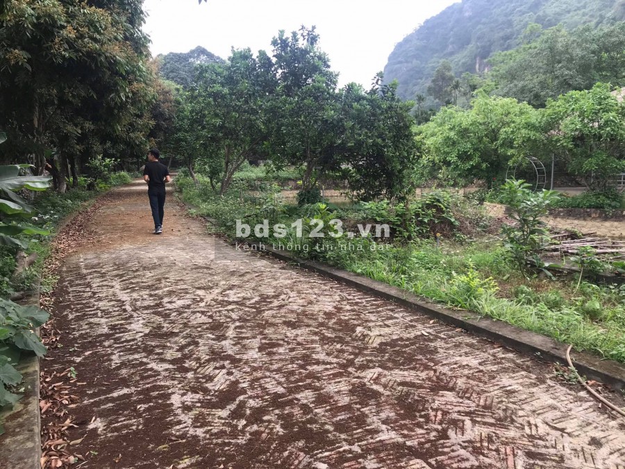 BÁN ĐẤT LƯƠNG SƠN HÒA BÌNH - SIÊU PHẨM NHÀ VƯỜN 5800M LƯNG TỰA NÚI CHÂN ĐẠP THỦY- ĐẸP NHƯ HOA HẬU