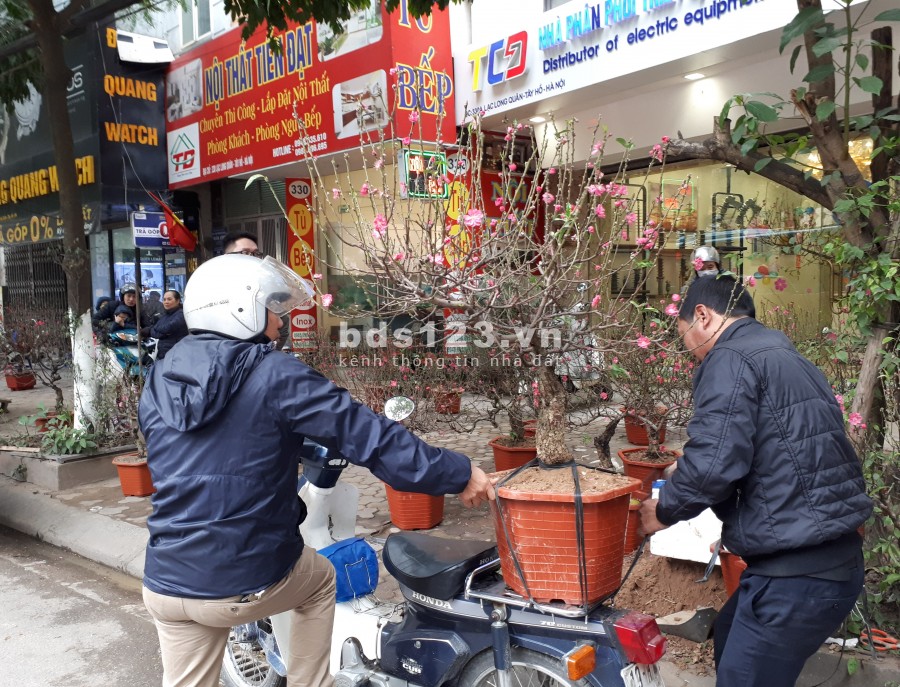 Đất Vàng Mặt Phố, MẶT TIỀN KHỦNG VIEW HỒ TÂY, gần 200m2, giá thương lượng 5X Tỷ