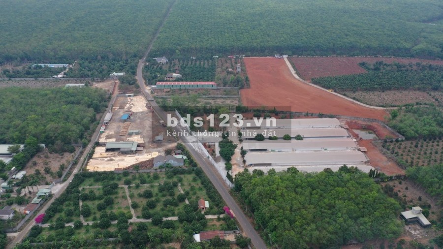 CHIẾT KHẤU 3% 48 NỀN DUY NHẤT TẠI HUYỆN PHÚ MỸ