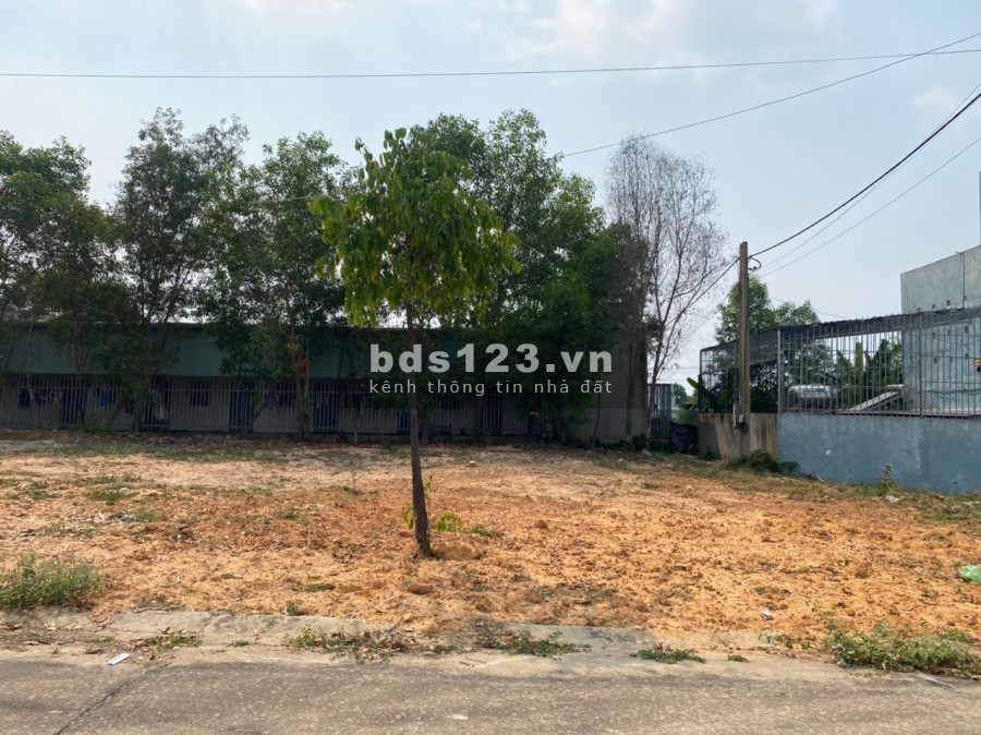 Đất MT Chợ 487m2 Thổ cư Nằm Trong Khu Đô Thị Mới