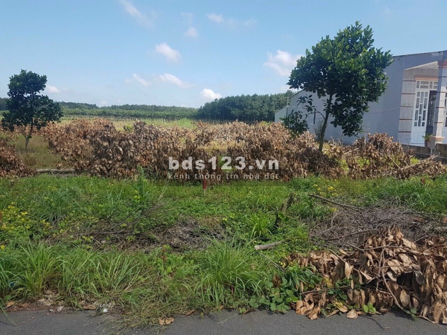 Cần bán gấp đất TP Đồng Xoài diện tích 1000m2 giá 600 triệu