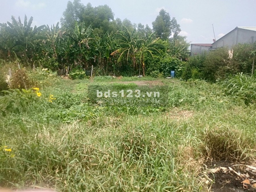 14X20m đất thổ cư mặt tiền đường Hồ Thị Bưng, Tân Thạnh Tây