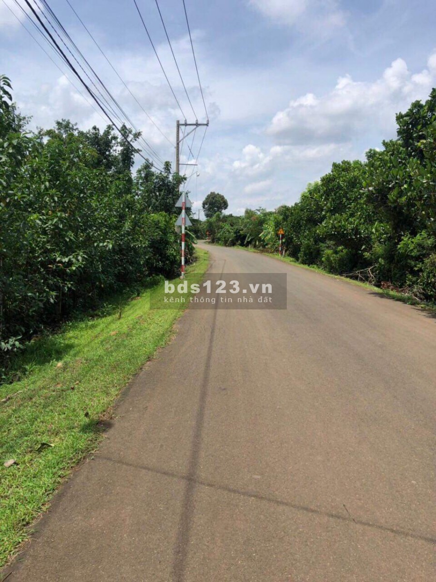 Đất vườn đẹp có sẵn thổ cư, Bán lô đất Long Thành 2117m2 đất vuông, sổ hồng riêng