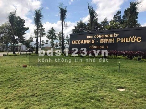 CẦN BÁN 1 HÉC (10.000M2) ĐẤT NGAY TỈNH LỘ 42M, SHR, ĐỐI DIỆN NHÀ MÁY, CHỢ GIÁ 160TR/1000M2