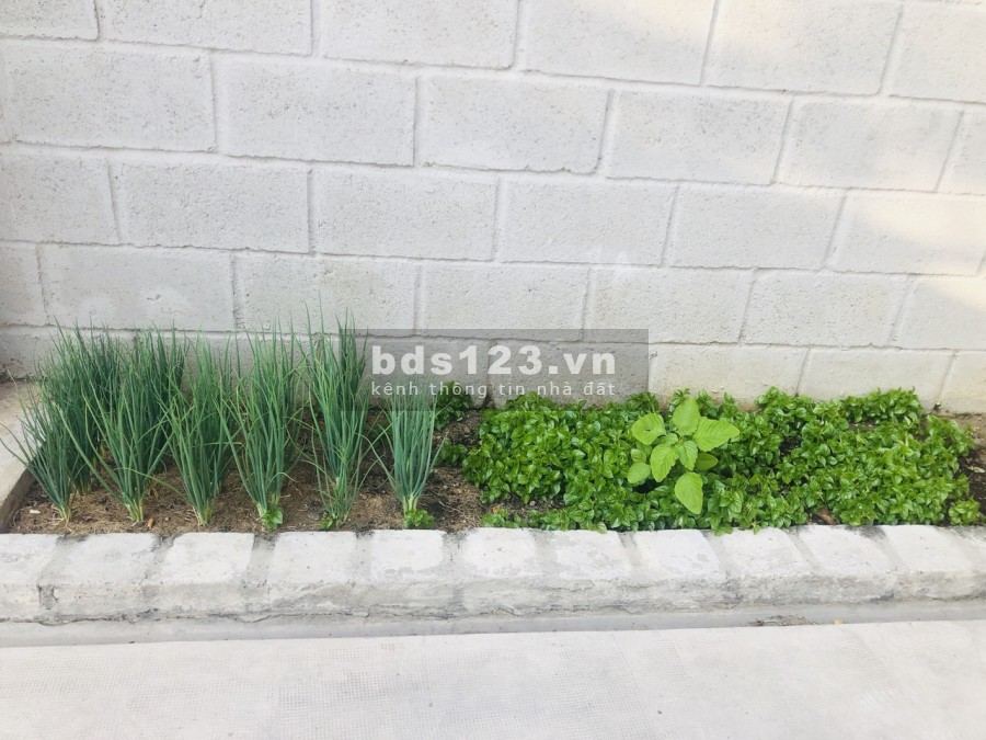 Biệt thự KDC BÁCH KHOA, 1 trệt 1 lầu 430m2, full nội thất, có sân rộng-vườn-gara oto
