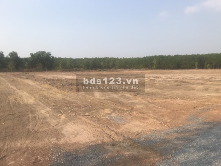 Đất Nền Minh Hưng Hàn Quốc 