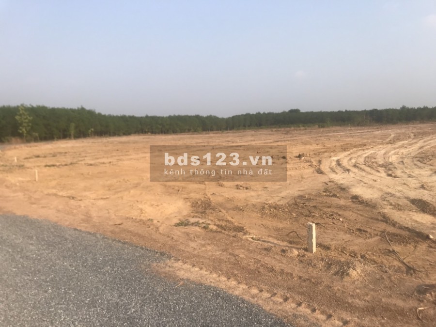 Đất Nền Minh Hưng Hàn Quốc 