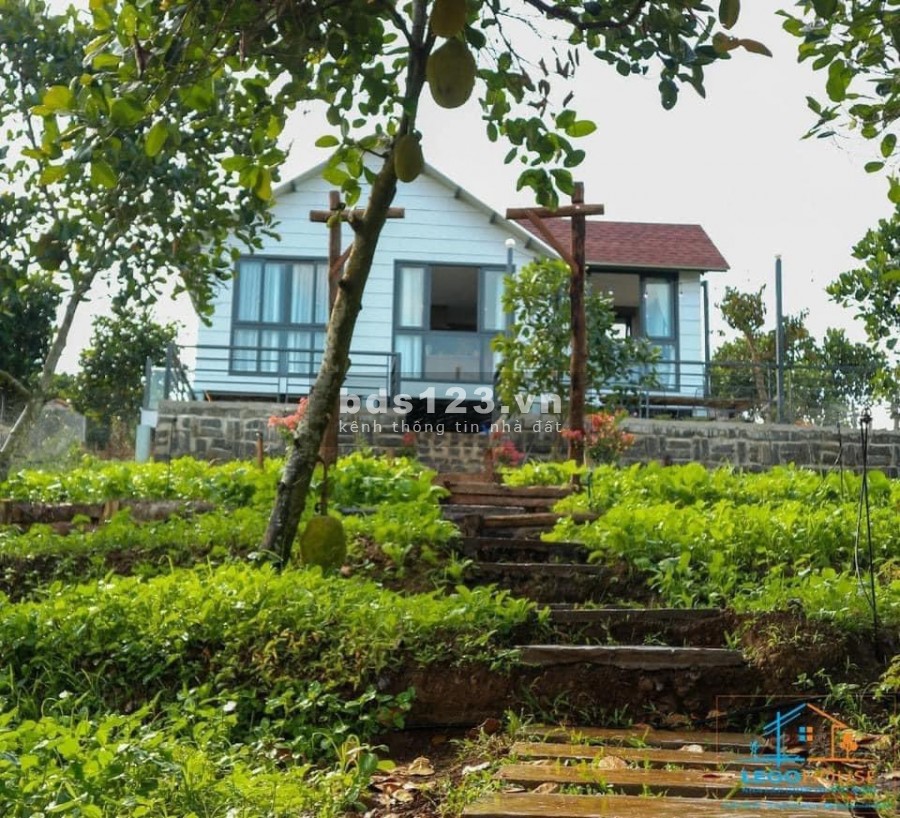 Bản đồ quy hoạch Bảo Lôc sát nhập Xã Lộc Nam vào TP, giá trị bđs tăng mạnh
