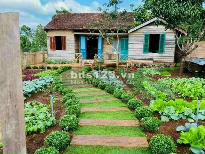 Bản đồ quy hoạch Bảo Lôc sát nhập Xã Lộc Nam vào TP, giá trị bđs tăng mạnh