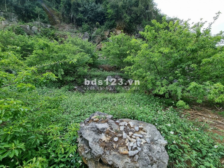 Bán đất thị trấn nông trường Mộc Châu giá rẻ