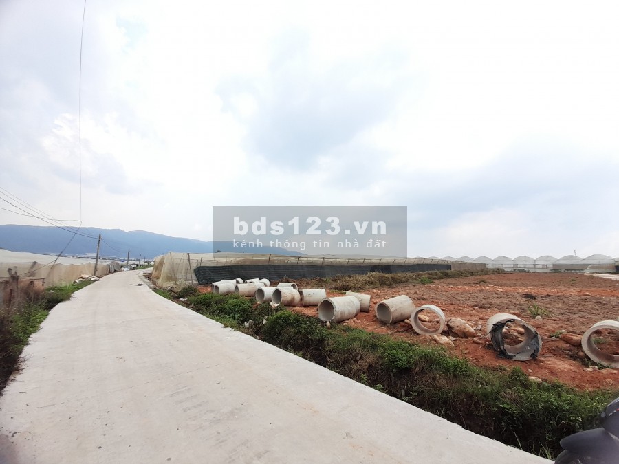 Đất trung tâm thị trấn Thạnh Mỹ - đơn dương, sổ riêng, thổ cư có sẵn