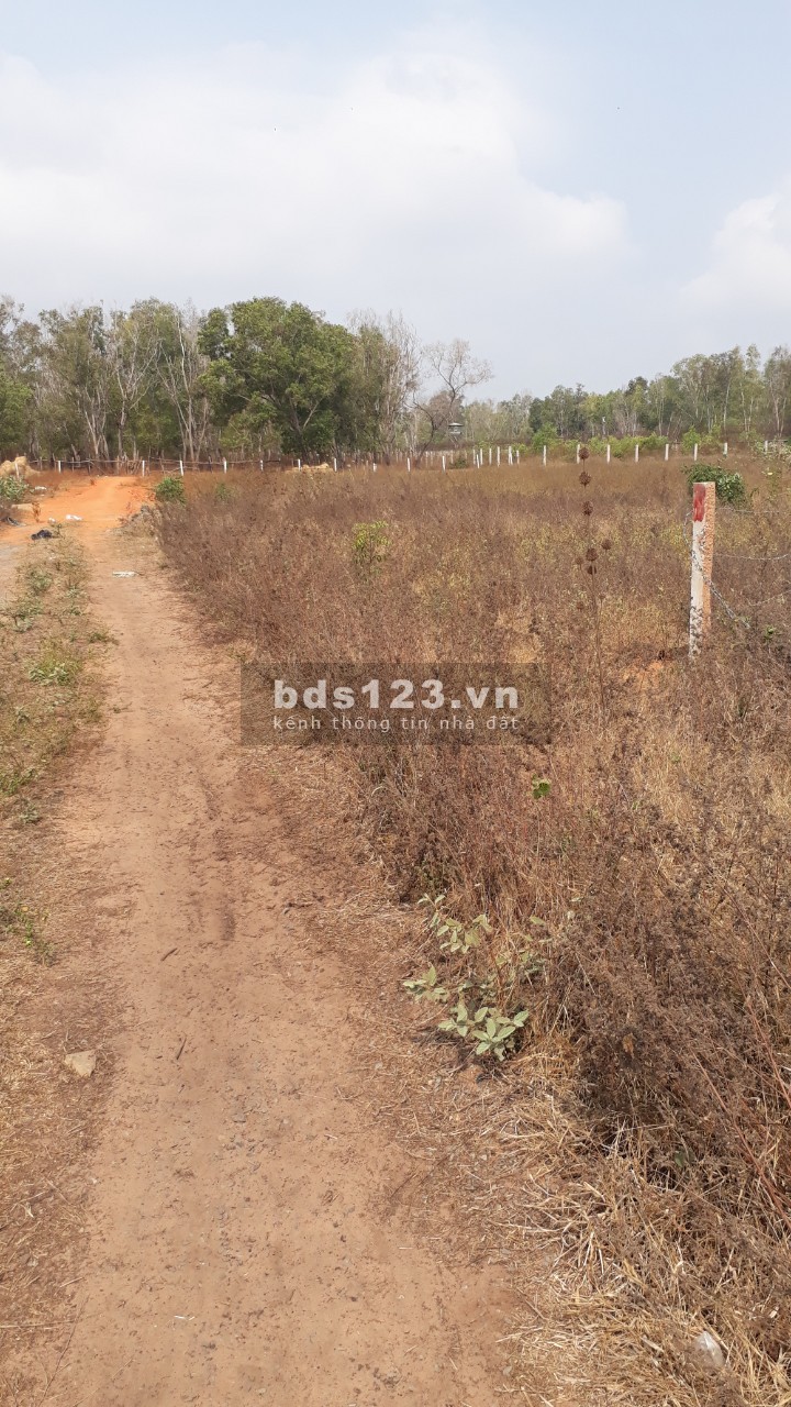 Chỉ 550 triệu/sào đất Thiện Nghiệp, Mũi Né, Phan Thiết