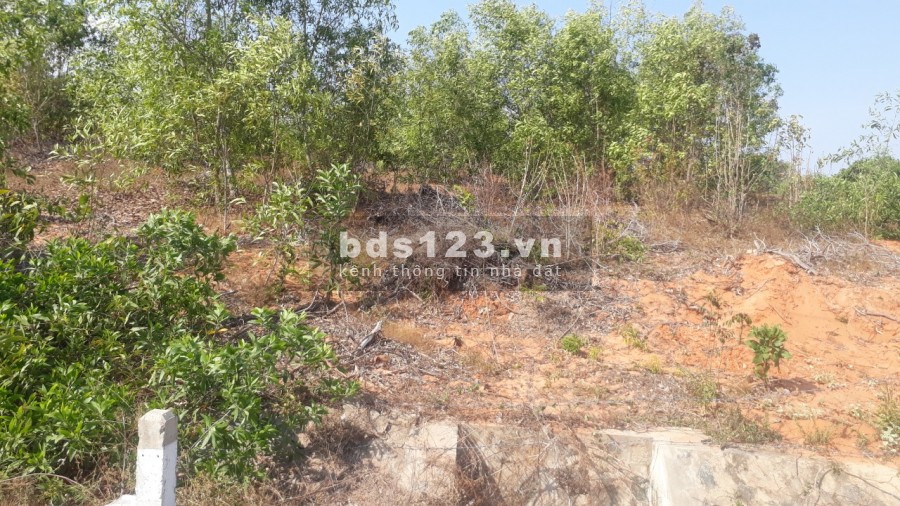 Chỉ 550 triệu/sào đất Thiện Nghiệp, Mũi Né, Phan Thiết