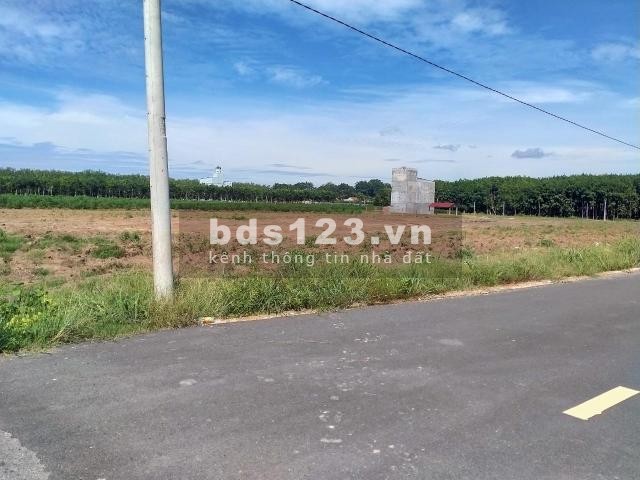 CÓ LÔ ĐẤT NGANG 23M X 96M DIỆN TÍCH 2200M2 CẦN TIỀN BÁN 470 TRIỆU