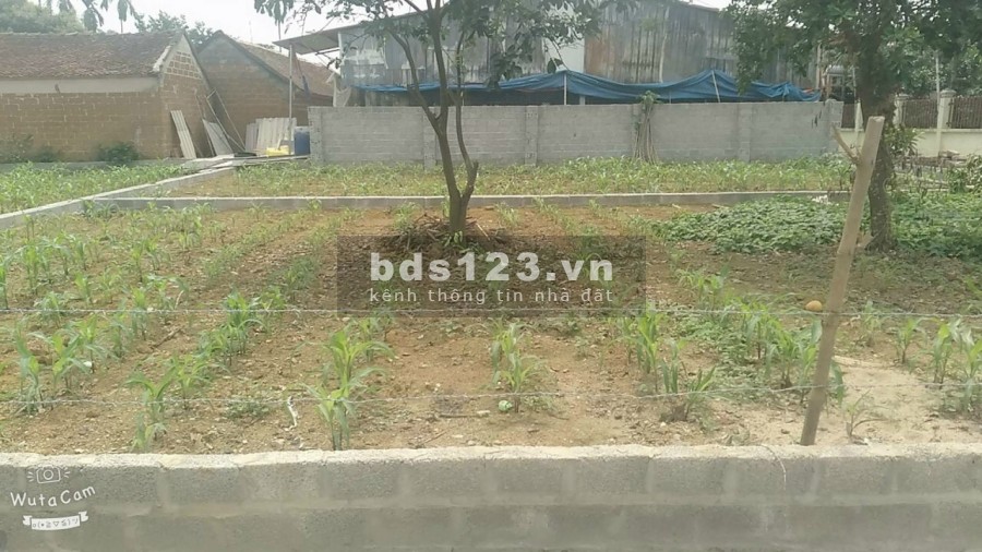 Gần chợ Phú Sơn. cách trường tiểu học Phú Cát 500m