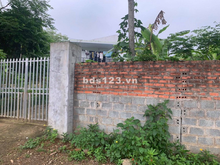 SIÊU PHẨM NGHỈ DƯỠNG TẠI TIẾN XUÂN LÔ GÓC SẴN 1 NHÀ TẦNG VÀ 1 NHÀ CẤP 4, TRONG ĐẤT CÓ AO