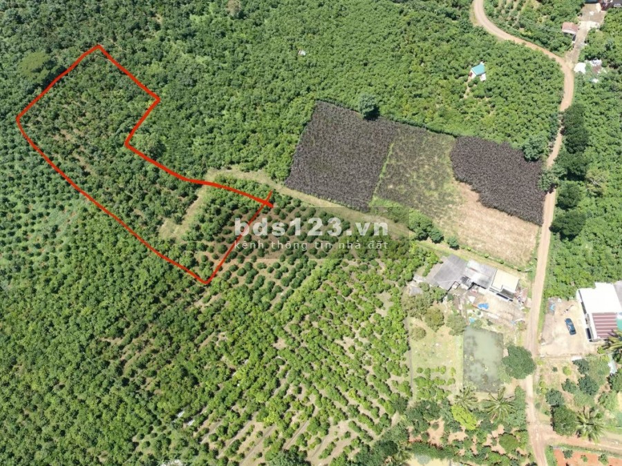 Cần bán lô đất thôn 16 huyện Bảo Lâm