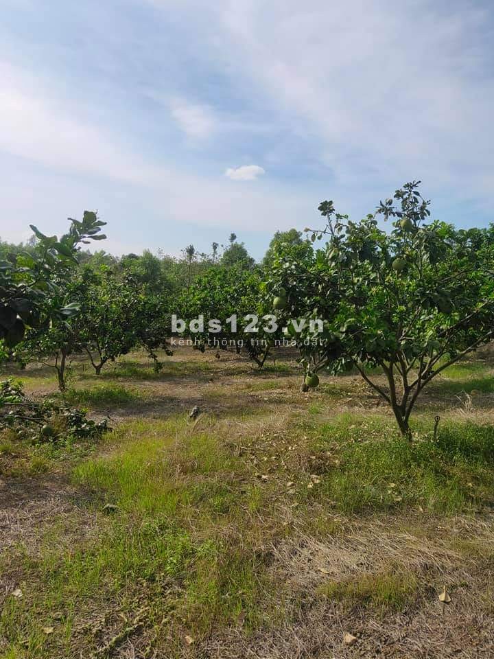 Bán lô đất tại Phước Bình cực đẹp diện tích (40X25) có 50m2 thổ giá cực rẽ, sổ hồng riêng