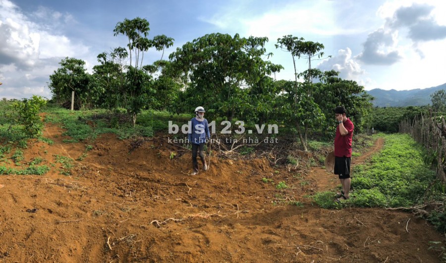 Cần bán lô đất thôn 16 huyện Bảo Lâm