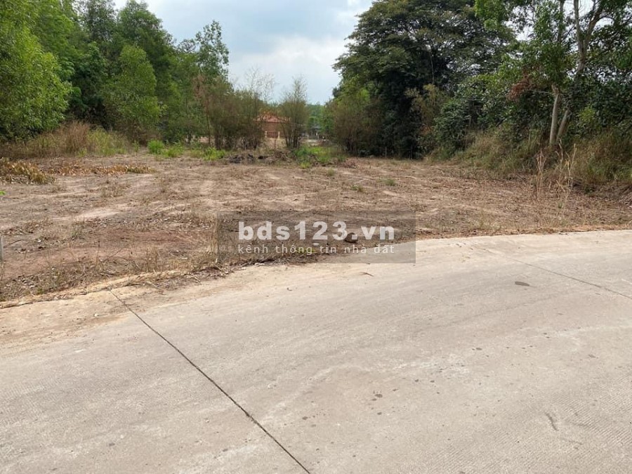 Đất vườn Long Thành thổ cư sẵn CỰC HIẾM, 2117M2 (30x70)