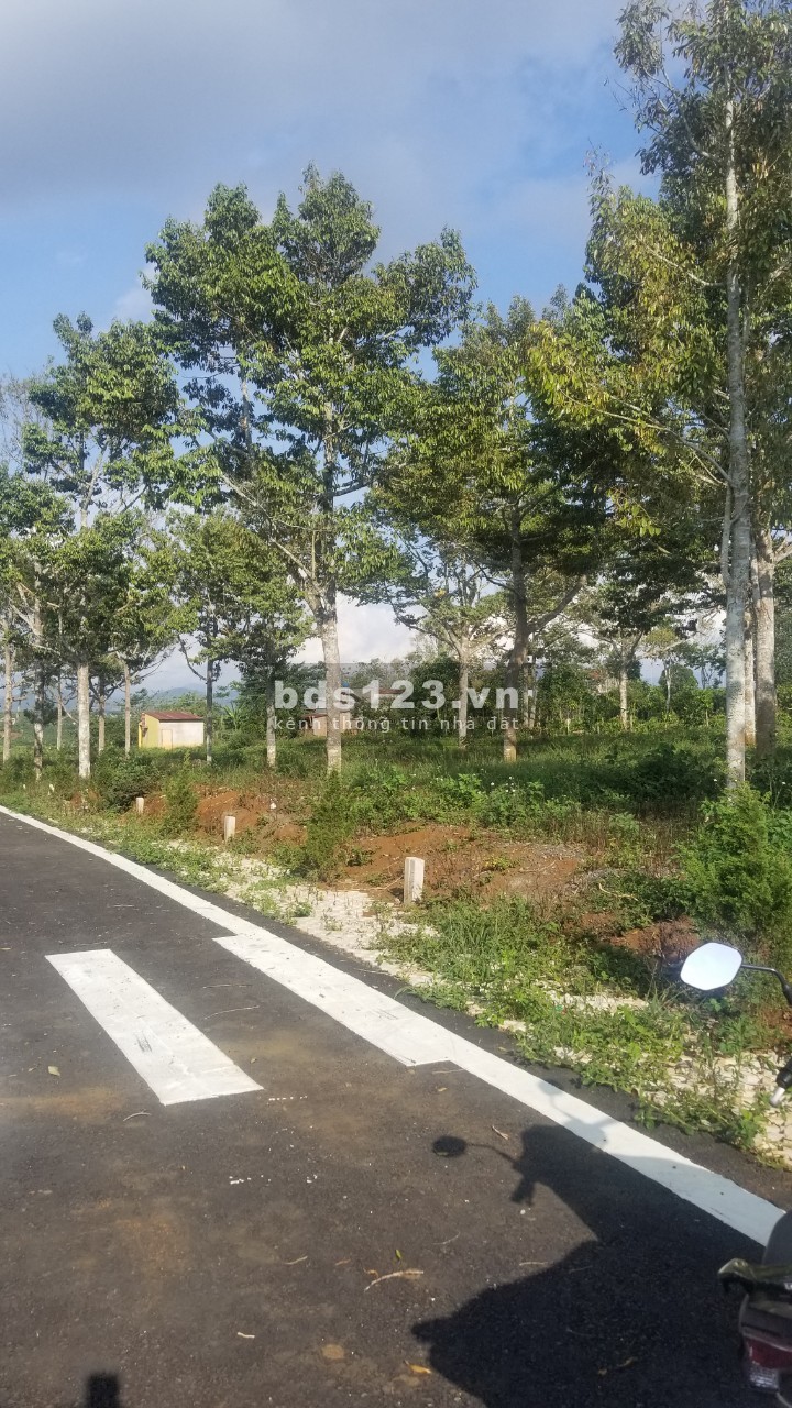 Đất mt Nguyễn Văn Cừ, phường Lộc Phát, tp Bảo Lộc, cách ql20 3km, shr chỉ 650tr