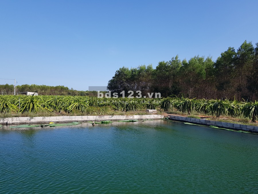 Chỉ 600 triệu/sào đất Tiến Thành đường nhánh 719B nối cao tốc, Phan Thiết