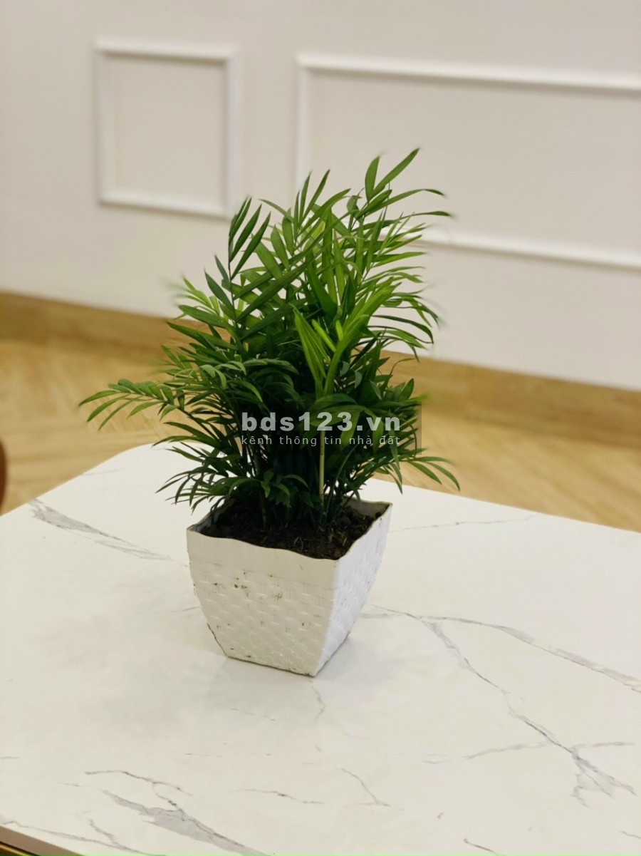 Bán nhà phố Điện Biên Phủ, TP HD 44.6m2, 3 tầng, 3 ngủ, sân để xe, chỉ 1 tỷ 920 triệu