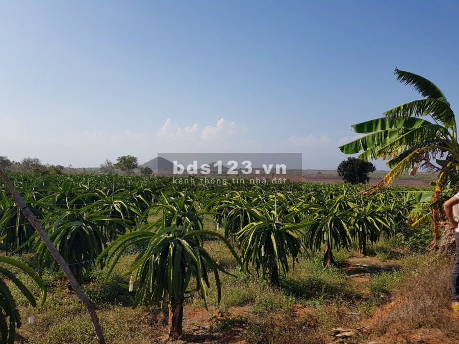 Chỉ 600 triệu/sào đất Tiến Thành đường nhánh 719B nối cao tốc, Phan Thiết