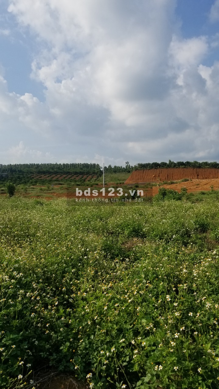 Đất mt Nguyễn Văn Cừ, phường Lộc Phát, tp Bảo Lộc, cách ql20 3km, shr chỉ 650tr