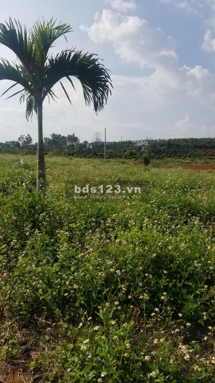 Đất mt Nguyễn Văn Cừ, phường Lộc Phát, tp Bảo Lộc, cách ql20 3km, shr chỉ 650tr