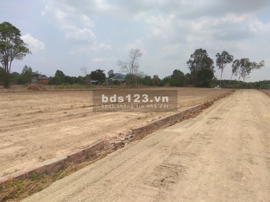 Đất thổ cư Phú Mỹ nằm ngay cao tốc BH-VT cách KCN Sonadezi 500m Giá chỉ 1,3 tỷ/lô