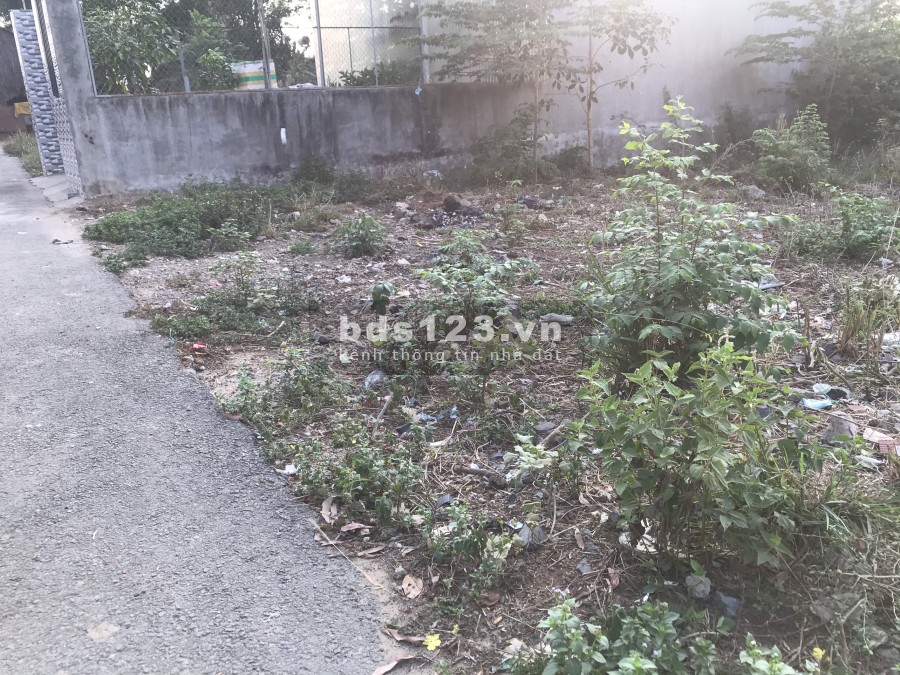Đất Biên Hòa 323tr/100m2 ngay đường Phùng Hưng, thổ cư 50m2