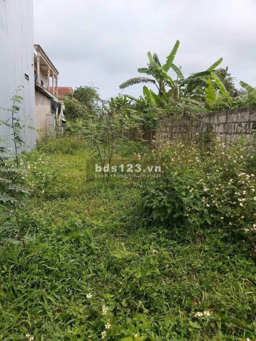 Đất kiệt Tùng Thiện Vương,phường Vỹ Dạ diện tích 100m2 giá hấp dẫn!