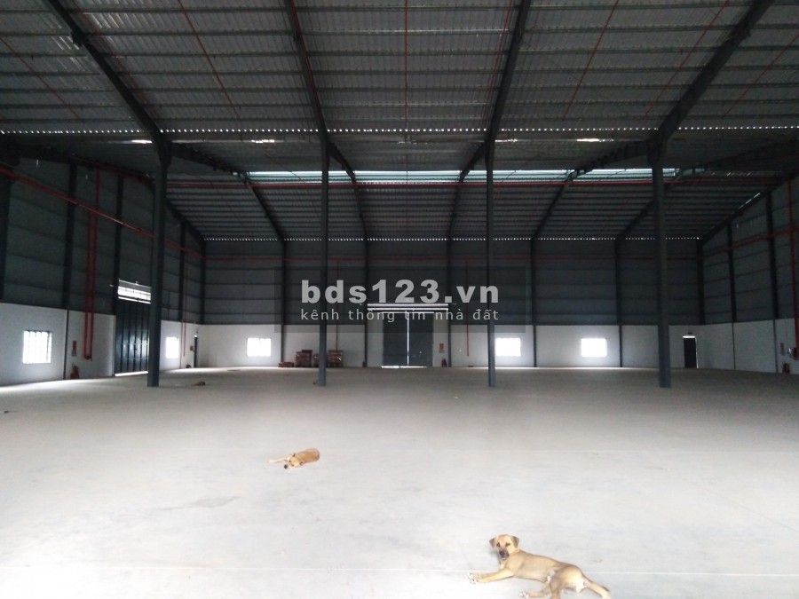 Cho thuê kho, xưởng mới 860m2 và 2000m2 Phước Long B Quận 9