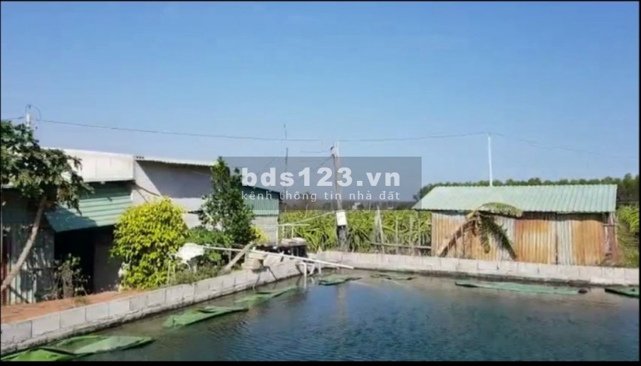 Chỉ 600 triệu/sào đất Tiến Thành đường nhánh 719B nối cao tốc, Phan Thiết