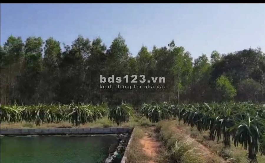 Chỉ 600 triệu/sào đất Tiến Thành đường nhánh 719B nối cao tốc, Phan Thiết