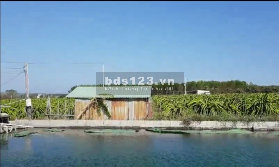 Chỉ 600 triệu/sào đất Tiến Thành đường nhánh 719B nối cao tốc, Phan Thiết