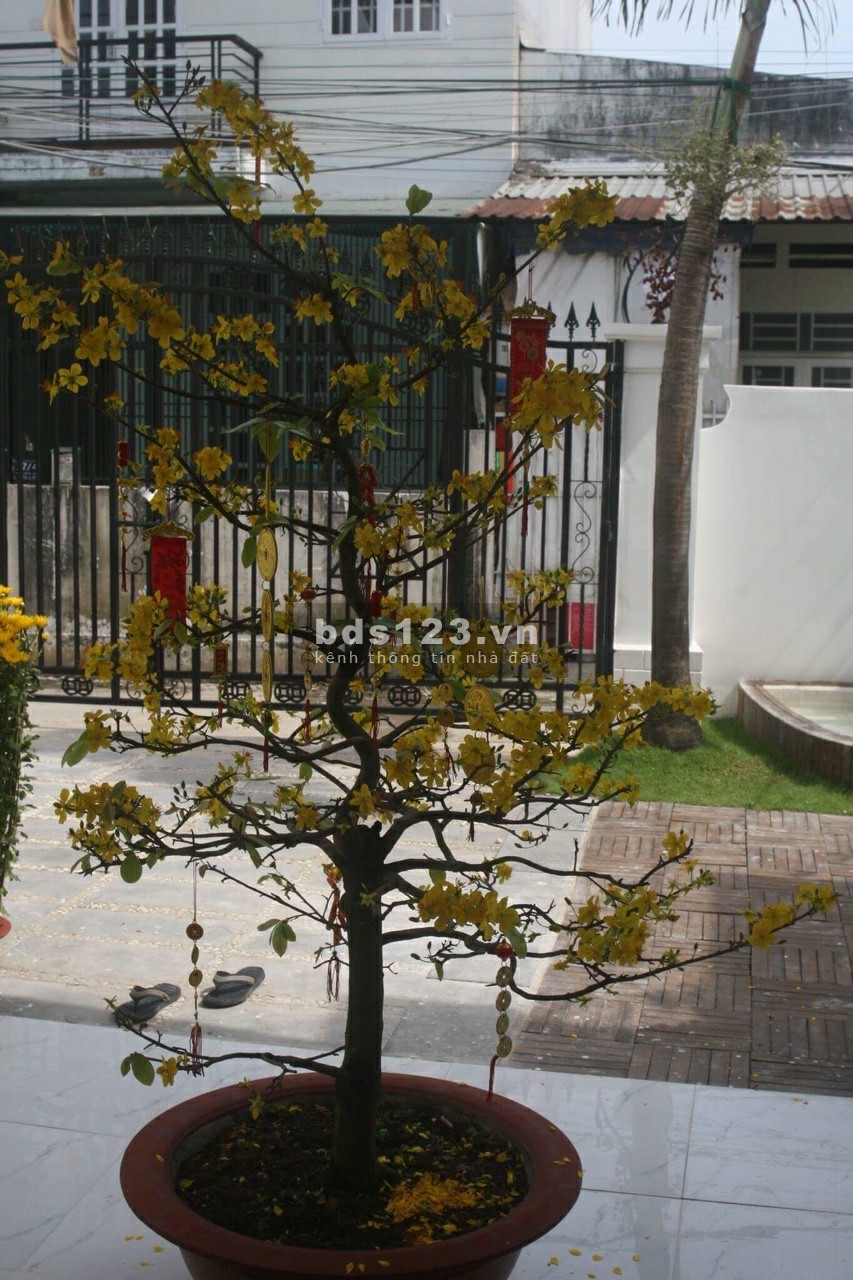 Bán biệt thự ngay chợ Thủ Đức đường 41 phường Linh ĐôngTp. Thủ Đức đường ô tô giá 14 tỷ