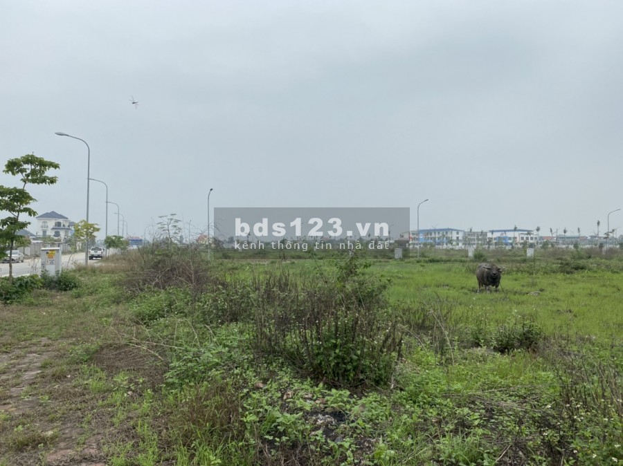 Chuyên bán các dự án đất nền tại Uông Bí đã có sổ