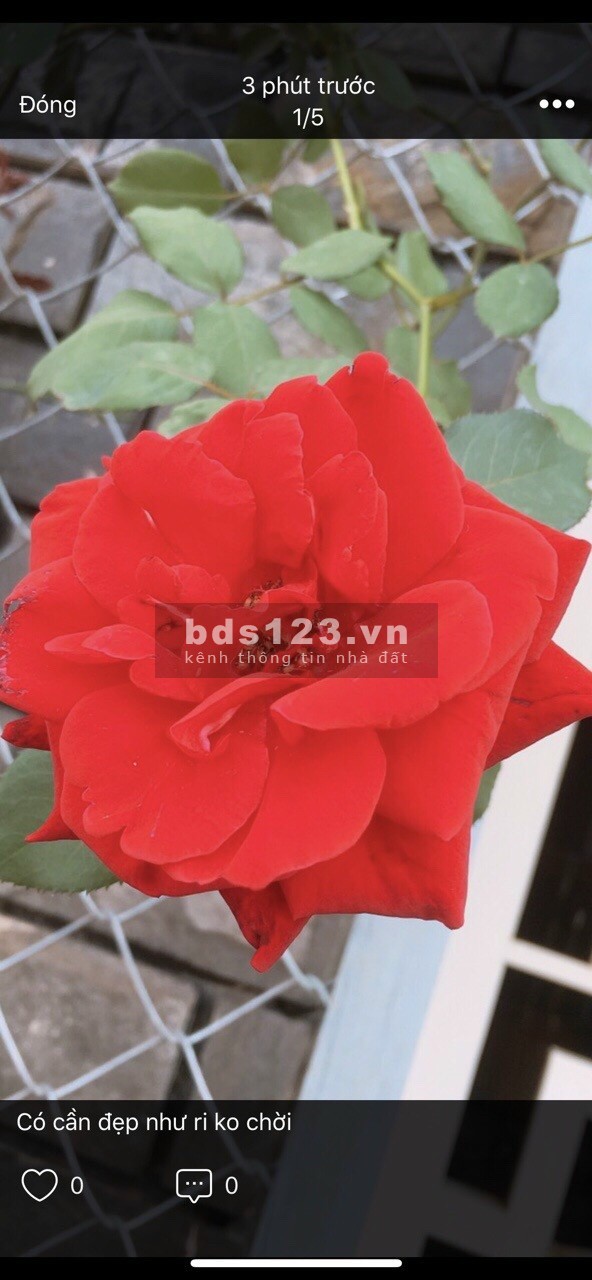 Công ty Diamond Land & Đối Tác có nhu cầu mua 1 số vị trí đất đường Nguyễn Tất Thành, Đà Nẵng 200 -700 m2. LH: 0905606910